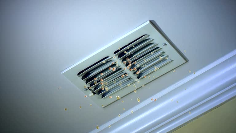 Best Commercial Air Duct Cleaning  in Hampton, GA